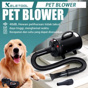 6500W Power Hair Dryer pet dog blower dryer pengering bulu kucing Warm Wind Secador For Cat 吹水機 寵物 宠物吹水机