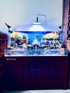 Hồ cá tiểu cảnh Phật giáo thác nước hồ cá phong thuỷ Aqua Mặt Trời Vàng (Mã SP:388)