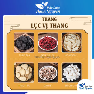 Lục vị địa hoàng thang thang lục vị tư âm bổ thận tốt cho cả nam và nữ - Thảo Dược Hạnh Nguyên