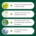 Plant Restoration Fluid Mild and Safe Botanical Flower Resurrection Solution Nourish. 