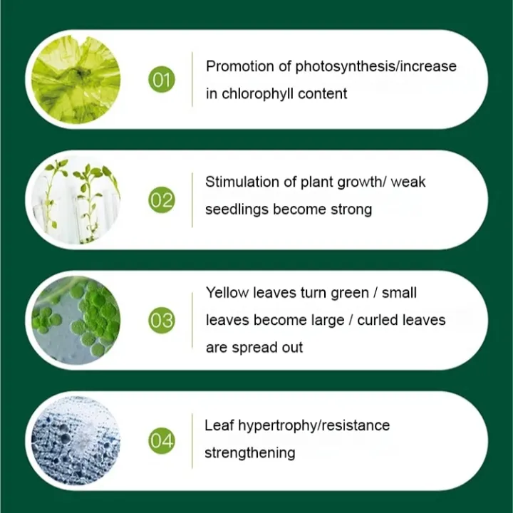 Plant%20Restoration%20Fluid%20Mild%20and%20Safe%20Botanical%20Flower%20Resurrection%20Solution%20Nourish%20-%20Image%206