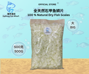 深海石甲鱼鳞片(大)/100%胶原蛋白/Dried Fish Scale/Sisik Ikan Siakap/Collagen/500G