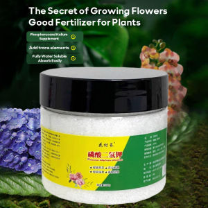 Bloom lots of flowers Fertilizer pampabulaklak Orchids blooming fertilizer Fertilizer for flowering plant Plant fertilizer for blooming Fertilizer for flower blooming Fertilizer pampabulaklak
