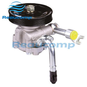 Power Steering Pump 49110-EB700 49110EB700 49110-EB300 49110EB300 49110-3X01A 491103X01A For NISSAN PATHFINDER NAVARA R51 D40