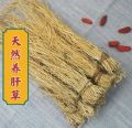 名贵中药 养肝金草 养肝草 50gm 1包 养肝 安神 Liver Protection (10扎). 