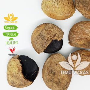 Kluwek 500gr / Kepayang / Keluak / Kluwak Super - Asli Gunung Merapi