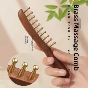JIFANPAUL Antistatic Anti-Hair Loss Comb