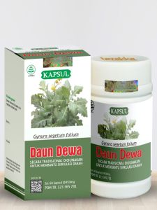 Ekstrak Kapsul Jamu Daun Dewa Asli Obat Struk Ringan Herbal Hipertensi Penurun Darah Tinggi