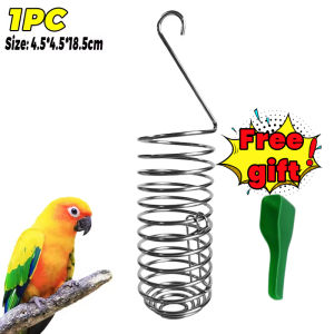 Buy 5 get 5 Stainless Steel Bird Foraging Feeder Parrot Food Holder for Fruits Veggies Grains
