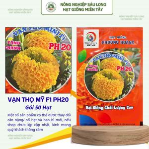 Gói 50 Hạt Vạn Thọ Siêu Lùn F1 PH20 – Vàng Chanh Cao 20–30cm