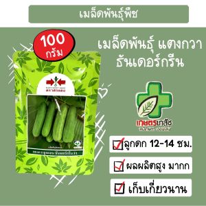 เมล็ดแตงกวา ธันเดอร์กรีน ธันเดอร์กรีน1 ตราศรแดง 100 กรัม