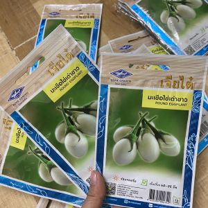 Hạt giống cà trứng ngỗngcà pháo trắng-gói 40 hạt