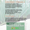 Pupuk Khusus Daun Bawang / Pupuk Penyubur Bawang Daun / Pupuk Daun Bawang Merah / Pupuk Pelebat Bawang Daun / Pupuk Buat Tanaman Bawang Daun. 