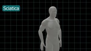 FREETOO Back Brace for Lower Back Pain Relief with Pulley SystemLumbar Support Belt for Men & Women with Lumbar Pad Ergonomic Design and Soft Breathable 3D Knit Materialfor Herniated DiscSciatica