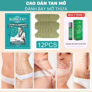 [CHÍNH HÃNG]Set 12 Miếng Dán Giảm Mỡ Cánh Tay Moxibustion Dán Nén Nóng Sản Phẩm Giảm Béo Để Đốt Cháy Giảm Mỡ Trong Vòng 7 Ngày