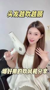 AE Manufacturers high-power blue light negative ion hair dryer for home and salon use quick-drying with hot and cold air