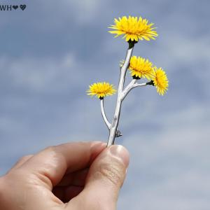 TX💓🧧🏮 เข็มกลัดแทรกรูปดอกไม้ หมุดสาขาโลหะสำหรับเข็มกลัด แฟชั่น DIY เสื้อผ้าเสื้อยกทรงด้วยดอกไม้แทรก