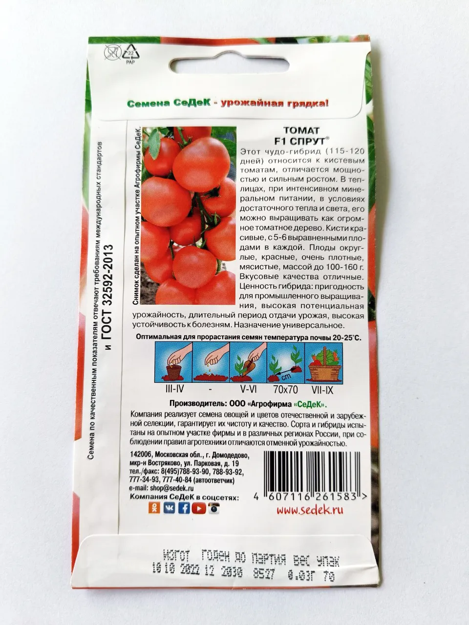 Hạt giống Cà chua bạch tuột chùm nhiều trái to lai F1 nhập Nga