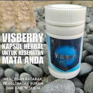 VIS*BE*RRY ISI 60 KAPSUL SUP-LEMEN MATA