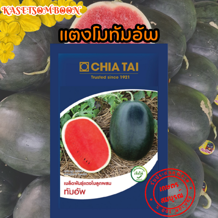 เมล็ดพันธุ์แตงโม ทัมอัพ แตงโมดำ เนื้อแดงเข้ม หวานกรอบ