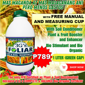 3Gs FOLIAR – SOIL AND PLANT BIOSTIMULANT JAPAN TECHNOLOGY ALL IN ONE SUPER FOLIAR BIO ORGANIC LIQUID FERTILIZER