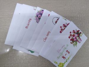20 cái phong bì chúc mừng 8-3