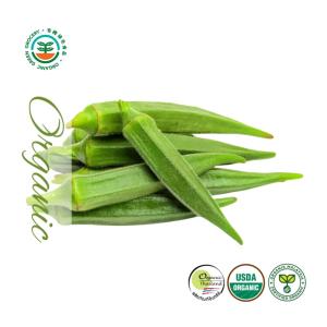Quan Fa Organic Farm Organic Okra Lady finger