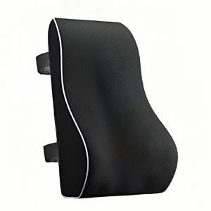 DADOMYD Improve Posture Lumbar Support Pillow Mesh Cover Back Pain Relief Back Pillow Practical Breathable Chair Cushions for Office Chair Car