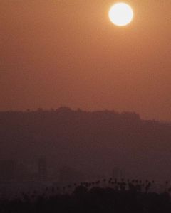 Cosmic Cream by Moon Juice - Vegan Collagen Protecting Moisturizer - Adaptogenic Dewy Face Lotion with Ashwagandha Emollient Fatty Acids & Mushroom - Clean Cruelty-Free & Sustainably-Sourced (1.7oz)