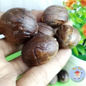COD biji pala 25 gram - bumbu dapur - rempah - herbal - penyedap