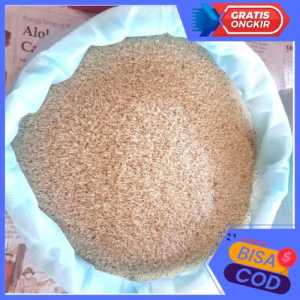 Bibit Jangkrik Alam Sliring 250gr Telur Jangkrik Alam Terek Berkualitas