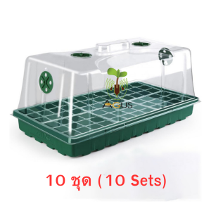 ถาด ปักชำ Cloning tray 72 cells ขนาด 21.25 นิ้ว ถาดเพาะ เพาะเมล็ด โดม ฝา เพาะ ปลูก Clone ชำ กิ่ง เพาะกล้า ต้นกล้า เพาะชำ ชุด บ่ม ต้นไม้ แคคตัส กัญ สมุนไพร