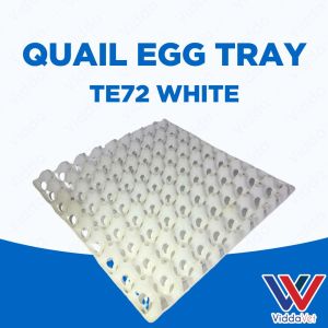 Quality White 24 Slot Quail Egg Tray for Proper Storage and Feeding of Small Animals Egg Storage for Animals