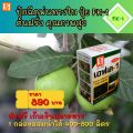ฝรั่ง โตไว ใบเขียว ผลใหญ่ ผลผลิตดี ฉีดพ่นปุ๋ย FK-1 ต้นทุนต่อไร่ถูกกว่าปุ๋ยเม็ด 4เท่า เพิ่มผลผลิตสูงสุด 20เปอร์เซ็นต์. 