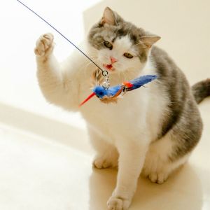 PUREGLOW ตุ๊กตาผ้าพลัฌ หัวไม้แมวนกจำลอง สีสันสดใส แมวทีเซอร์ติด หัวเปลี่ยนแท่งทีเซอร์สำหรับแมว ตลกๆ ของเล่นแบบถ้วยดูด ไม้กายสิทธิ์แมวเล่น บรรเทาความเบื่อ