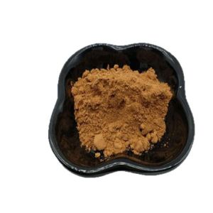 Pine Bark Extract Proanthocyanidins Pycnogenol Extract. Direct shipment ready stock free shipping special price for bulk orders. ZhiPeptide