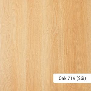 Tủ Để Giày Dép Hiện Đại Cho Căn Hộ Nhà Phố Thương Hiệu SIB Decor TG05