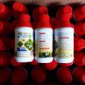 Chế Phẩm NGĂN NGỪA XOĂN  NGỌN , XOẮN LÁ, KHẢM LÁ DO THIẾU VI LƯỢNG - BIO.ANTICMV 3 IN 1 Chai 500ml. 