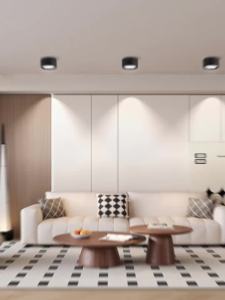 CANMEIJIA 3 Colors Led Downlight Pin Light Surface Mounted Round Downlight Indoor Ceiling Light 220V