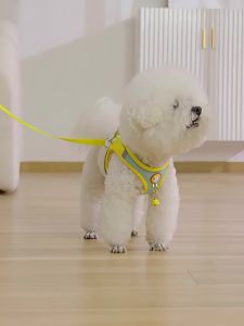 PETWELL Adjustable Reflective Dog Harness with Leash for Enhanced Visibility and Comfort