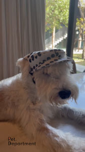 Polka Dot Peaky Hat หมวกหมา หมวกแมวทรง Peaky Blinder ลายจุด