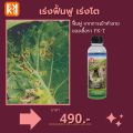คะน้า ใบไหม้ ใบจุด ราน้ำค้าง กำจัดโรคคะน้า จากเชื้อราต่างๆ ปลอดสารพิษ ไอเอส และ FK-T(ใช้ได้ทุกพืช)โดย FK. 