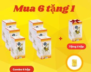Combo mua 06 tặng 01 - Hoàng Thống Phong - hỗ trợ làm giảm các triệu chứng đau nhức do gút
