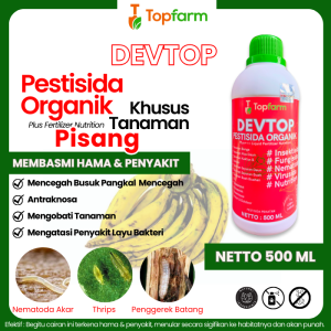 Obat Pembasmi Hama Pohon Pisang / Obat Hama Wereng Pohon Pisang / Obat Buat Jamur Pohon Pisang / Obat Untuk Penyakit Buah Pisang / Obat Hama Pisang / Obat Semprot Khusus Pisang