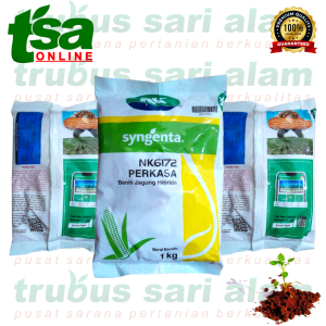 PERKASA 1kg - Benih biji jagung hibrida buah sayur Syngenta