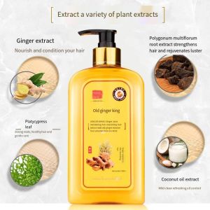 Natural Ginger Shampoo 100% Original Shampoo for Hair Loss Herbal Ginger Extract Shampoo Hair Grower for Women Effective Anti Hair Fall Shampoo Ginger for Dandruff Hair Growth for Men pampatubo ng buhok at pampakapal pampakapal ng buhok shampoo 800ML