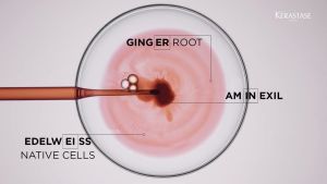 Serum ngăn rụng gãy tóc Genesis Kérastase - là huyết thanh ngăn rụng và gãy tóc Pháp với hiệu quả ngăn rụng tóc đến 84% và hiệu quả ngăn gãy tóc đến 93%