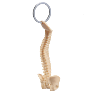 Educational Human Spine Skeleton Model Keychain Car Key Chain for Anatomy Enthusiasts Portable Classroom Teaching Tool