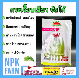 กระเจี๊ยบเขียว จัสโก้ [ ขนาด 20 กรัม ] หมดอายุ 03/2570 กระเจี๊ยบ ลอตใหม่ งอกดี ติดผลดก ข้อสั้น มีความต้านทานโรค ทนต่อแมลงได้ดี มีการเจริญเติบโตดี ผลผลิตสูง ขายง่าย