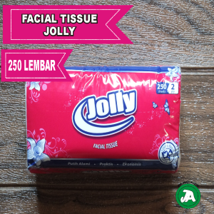 Tissue PASCOY 250 Lembar Facial Tissue Tisu 250 Sheets 2 Ply